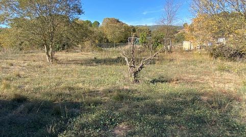 SE VENDE TERRENO DE HORTICULTURA EN SANT QUINTI DE MEDIONA, immagine 2