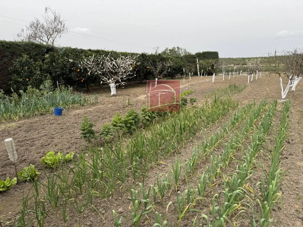 Xalet amb jardí en venda a Villanueva de la Serena, imagen 35