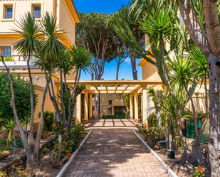 Vista exterior de Casa adosada en venda en Chiclana de la Frontera amb Jardí privat, Terrassa i Piscina comunitària