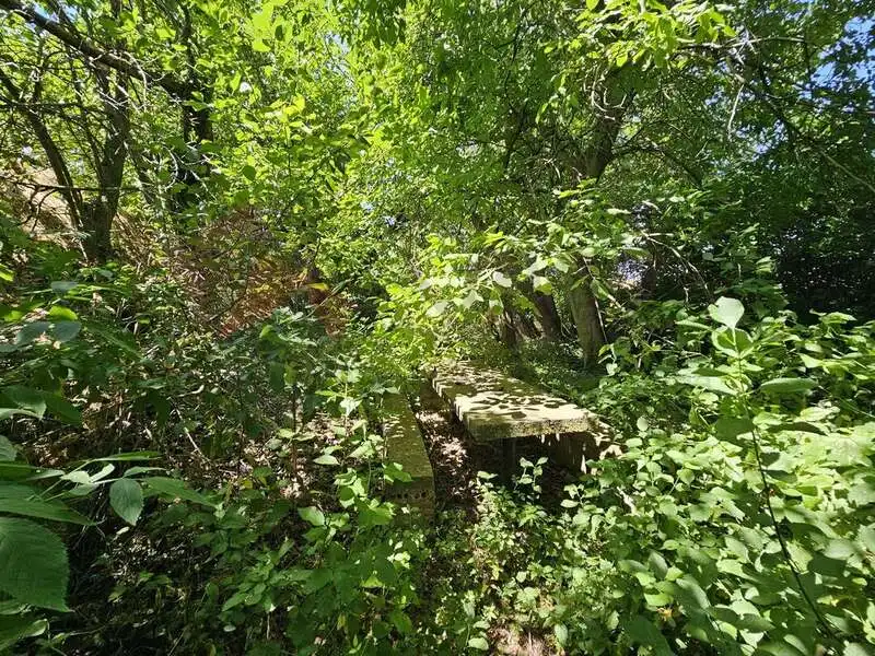 Casa o chalet en venta en Cañas con Jardín privado