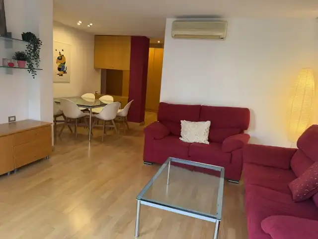 Wohnung mit Terrasse zum Verkauf in Carrer de Lepant, imagen 42