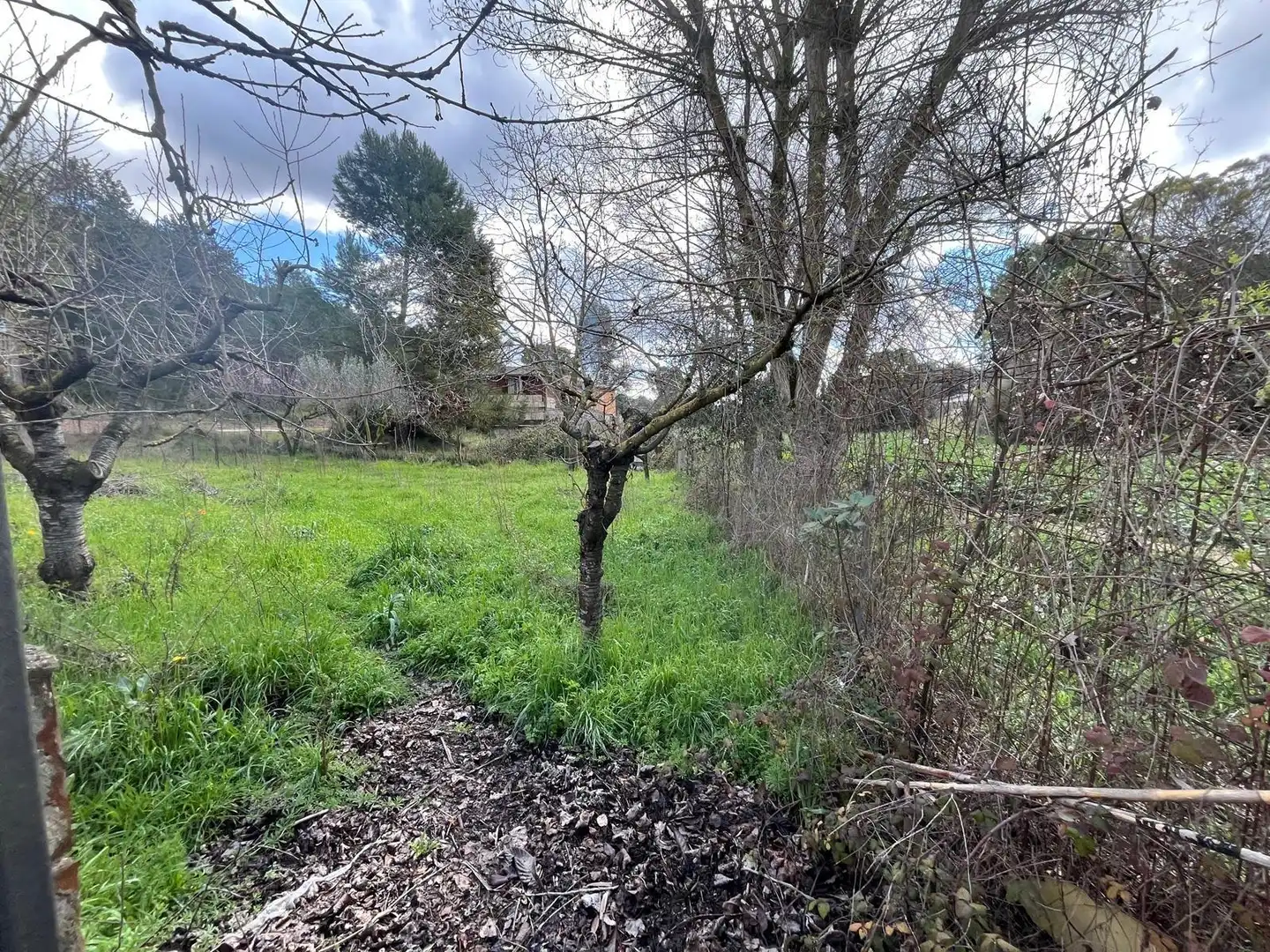 Terreno residencial en venta en El Bruc, imagen 11