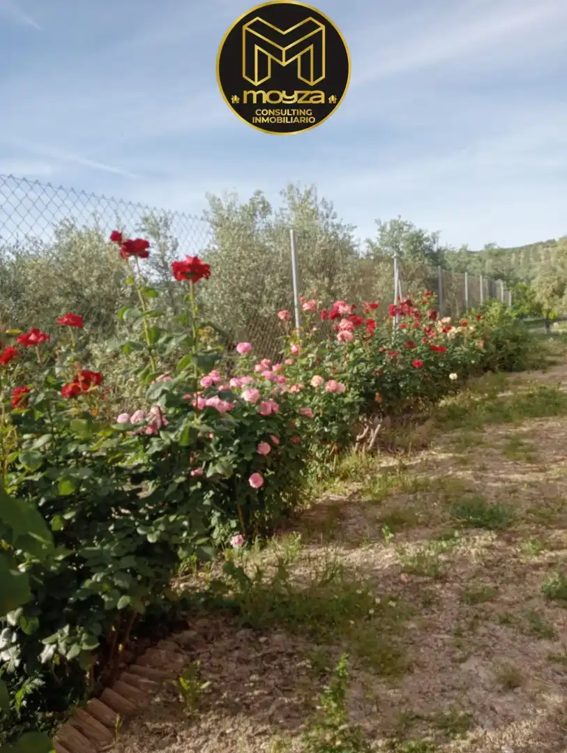 Villa zum Verkauf in Begíjar, imagen 49