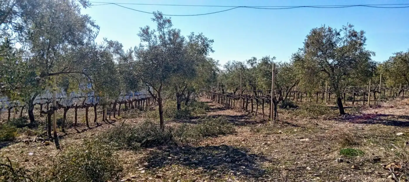 Casa rústica en venda a Nevada, imagen 29