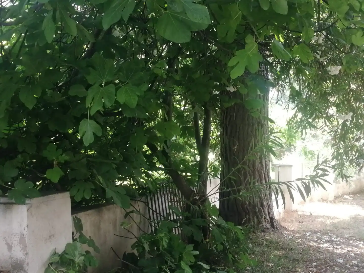 Detached house for sale in Ctra. Puente Nuevo, imagen 6