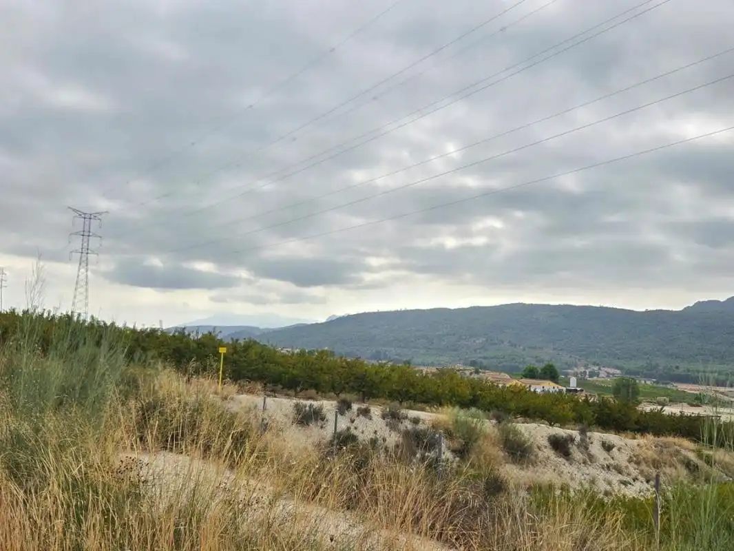 Residential land for sale in RM-714, imagen 11