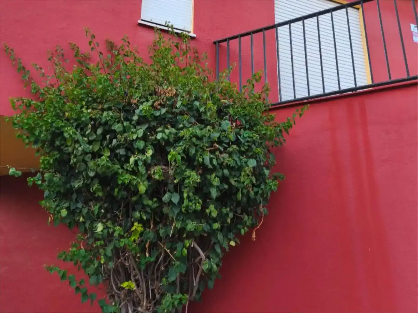 Terrassa de Casa o xalet en venda en El Puerto de Santa María amb Aire condicionat, Terrassa i Balcó