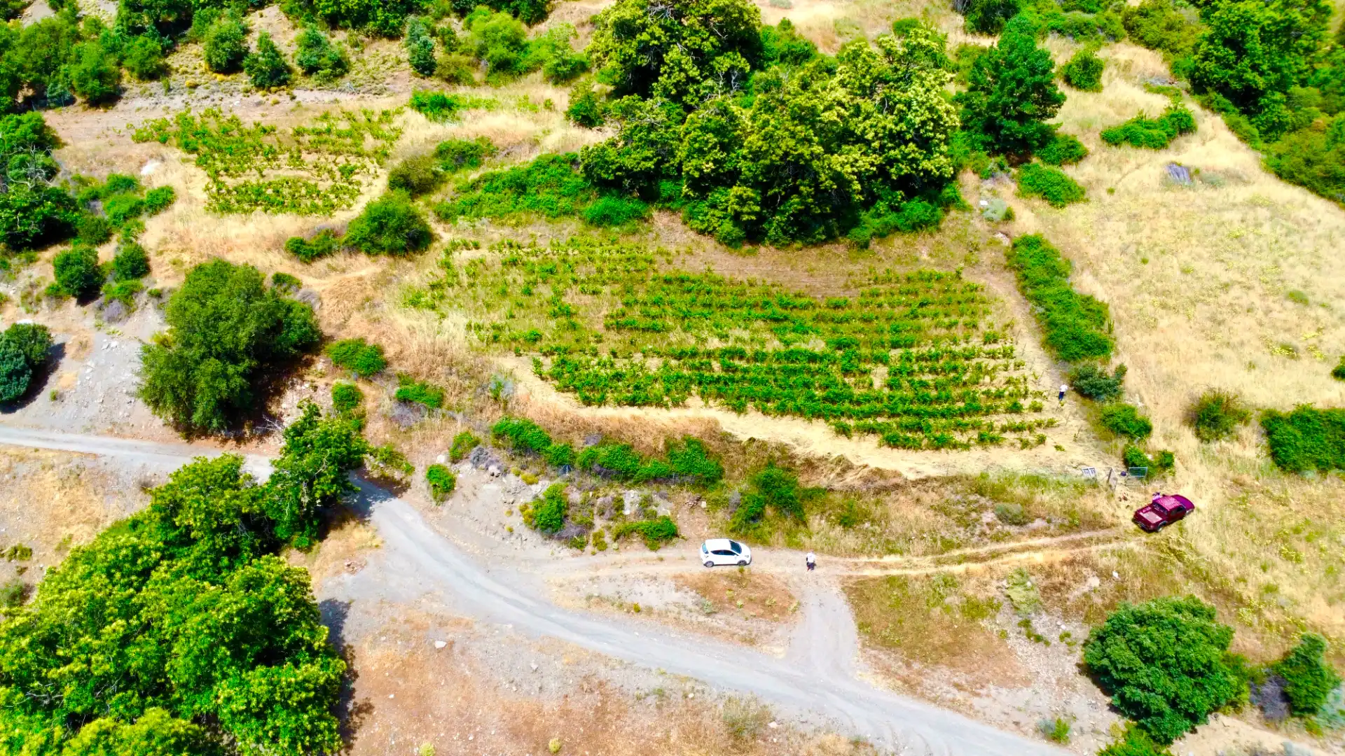 Terreni e lotti in vendita a Alpujarra de la Sierra, imagen 28