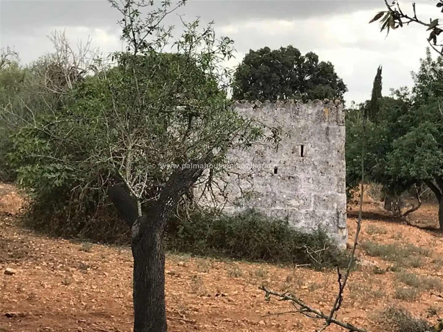 Wohnbaugrundstück zum Verkauf in Muro