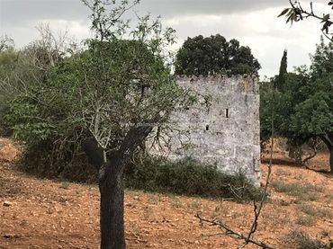Wohnbaugrundstück zum Verkauf in Muro