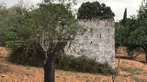 RUSTICA CON CASETA EN MURO