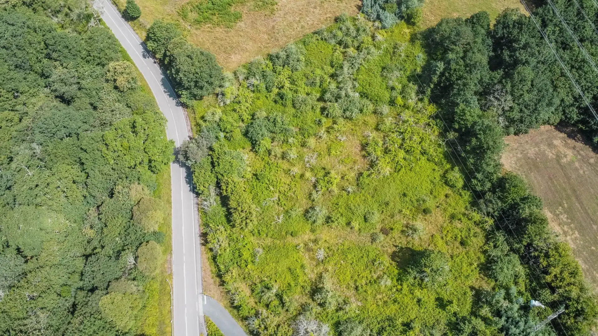 Rural land for sale in del pareo, imagen 5