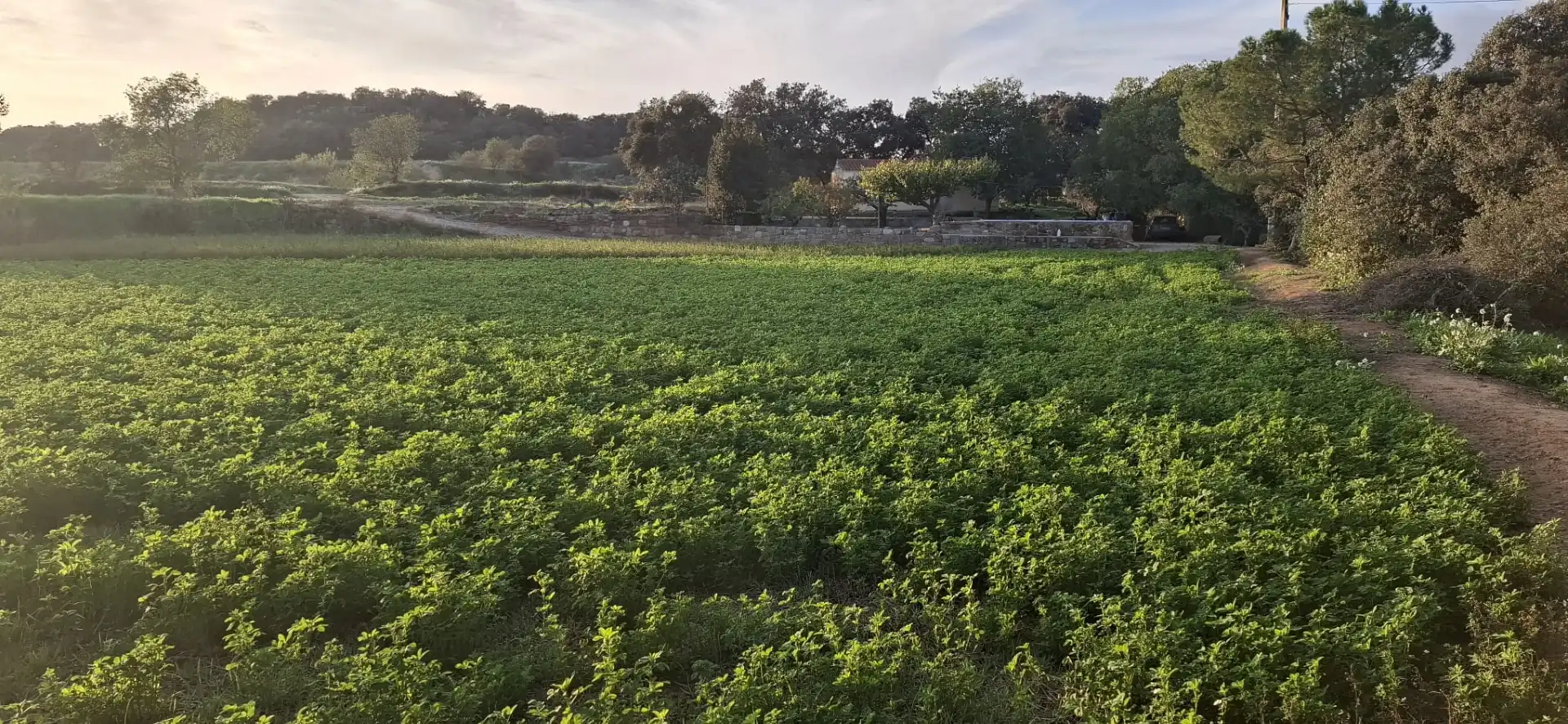Casa o chalet en venta en Cubells con Jardín privado, Trastero y Piscina