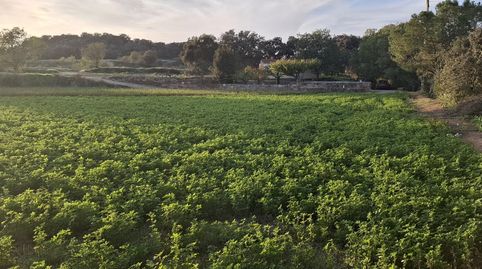 Foto 3 de Casa o chalet en venta en Camí de Montgai, 1, Cubells, Lleida