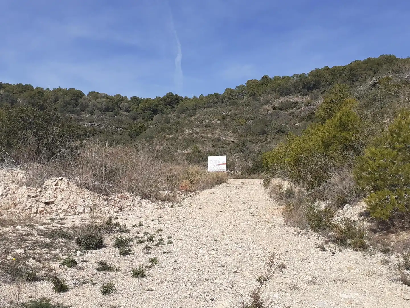 Lands and plots for sale in Roda de Barà, imagen 8