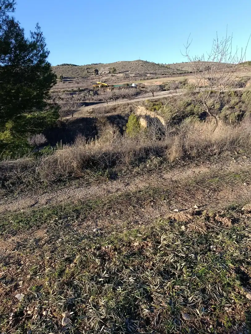 Terrenys i solars en venda a Bullas, imagen 13