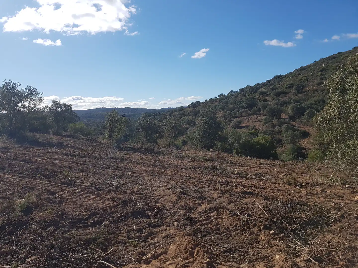 Residential for sale in El Ronquillo