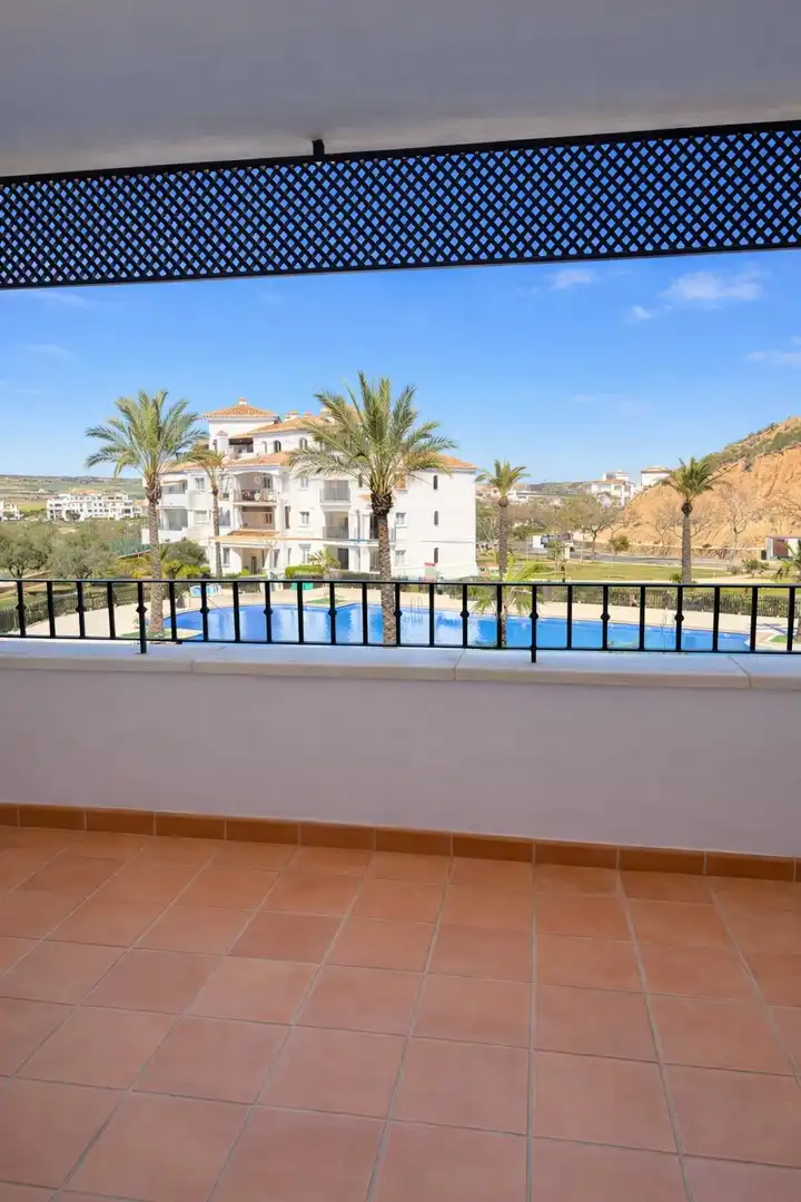 Apartament amb terrassa de lloguer a Calle HACIENDA RIQUELME VIAL C 8, imagen 15