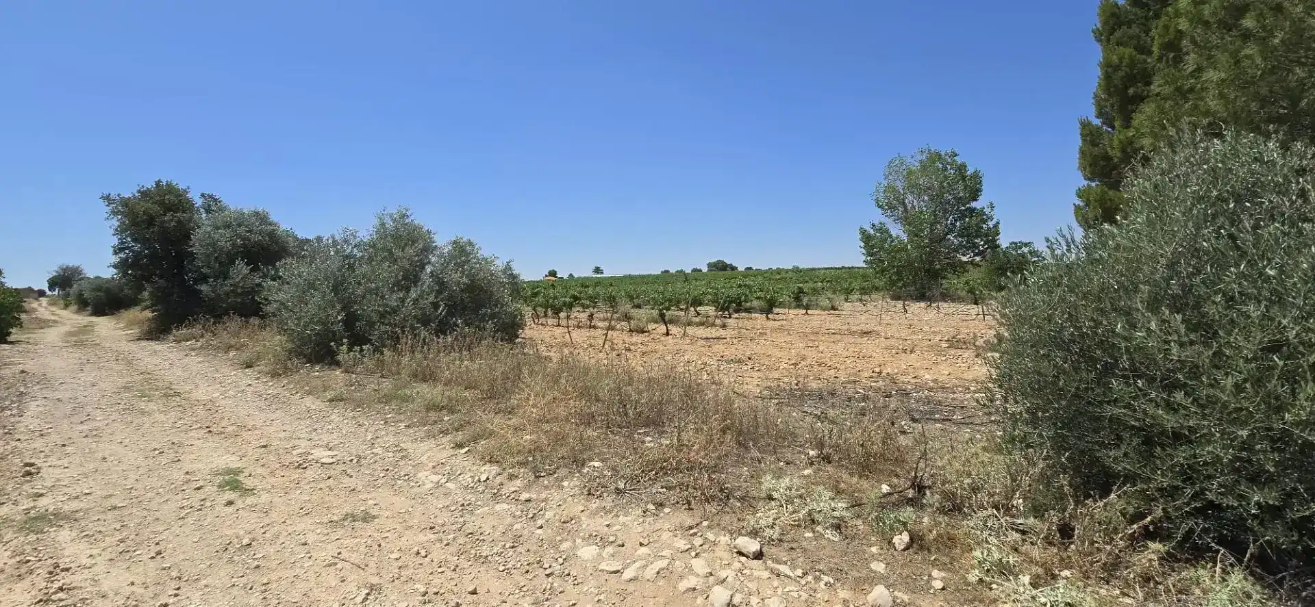 Finca rústica en venda en Villarrobledo amb Piscina