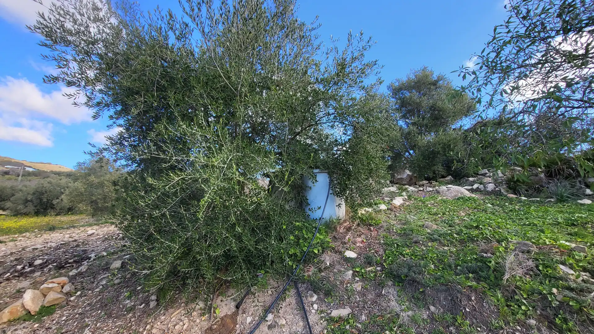 Casa o chalet en venta en Antequera con Calefacción y Terraza