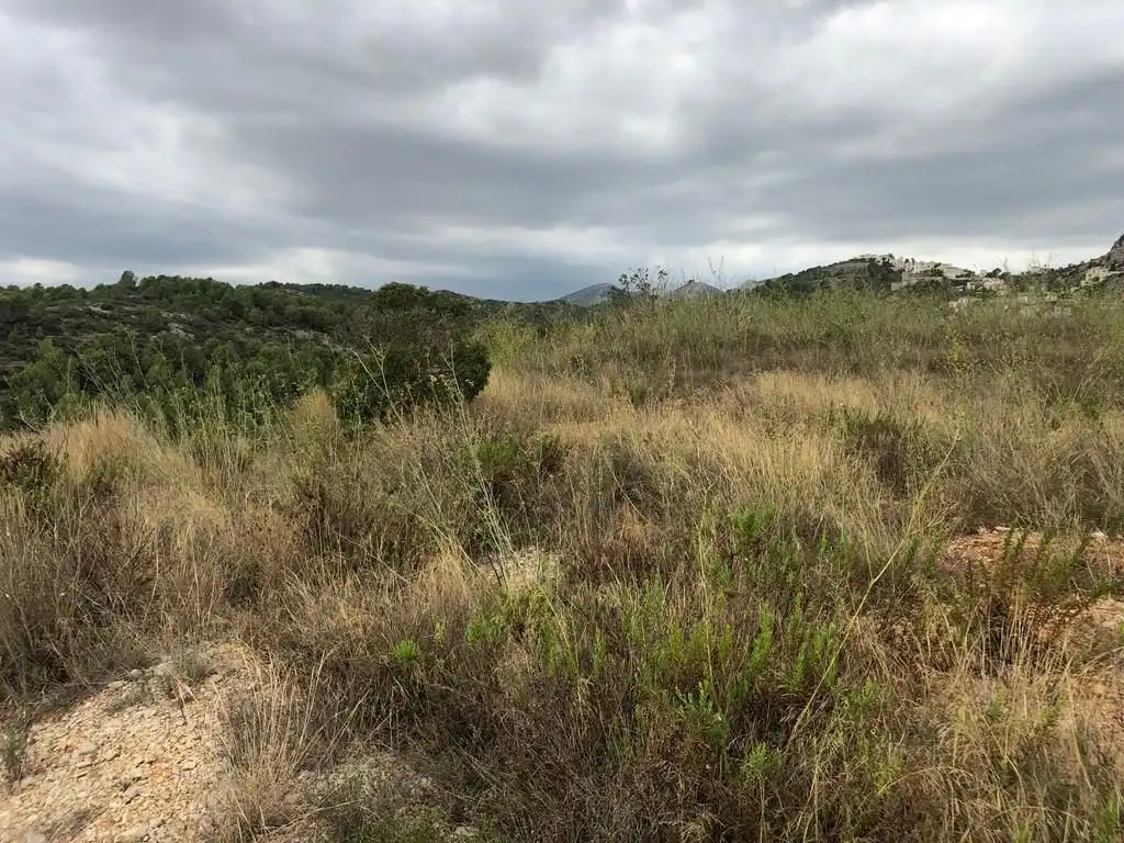 Terreno residencial en venta en Plaza Sau, imagen 5
