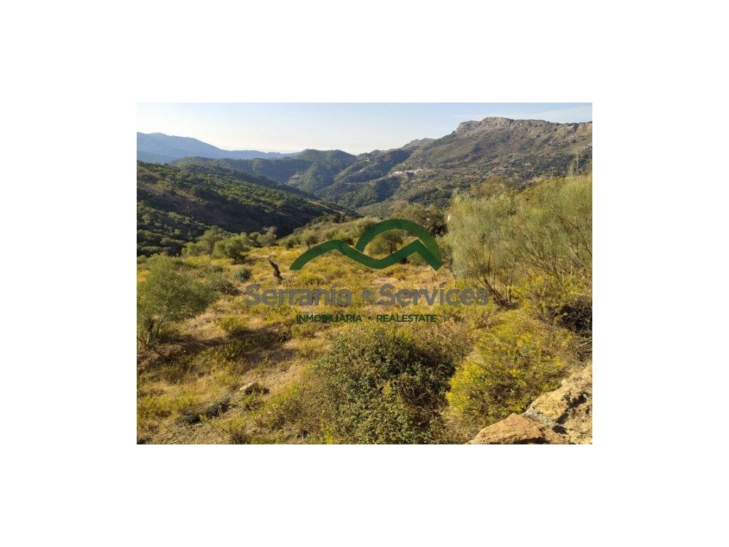 Country house for sale in Atajate