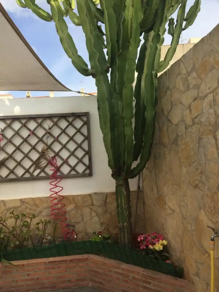 Haus zum Verkauf in Carrer dels Panys, imagen 15