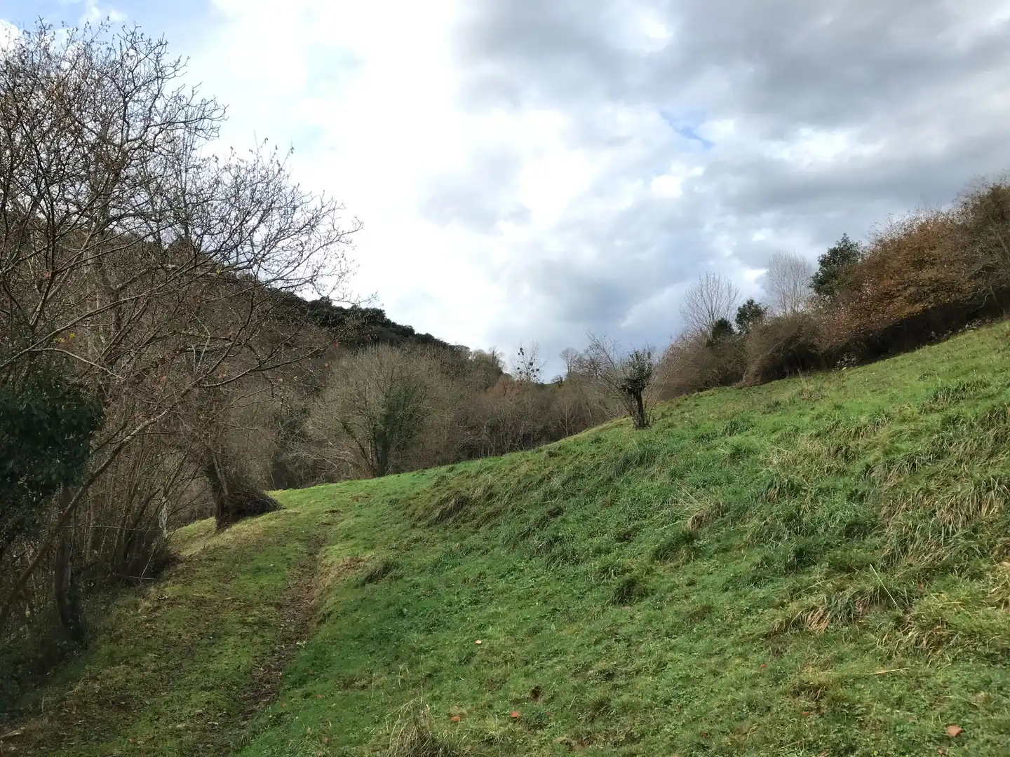 Lands and plots for sale in El Pontón, Rozagas, imagen 12