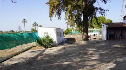 Foto 5 de Casa o xalet en venda a Perleta - Maitino, Elche / Elx