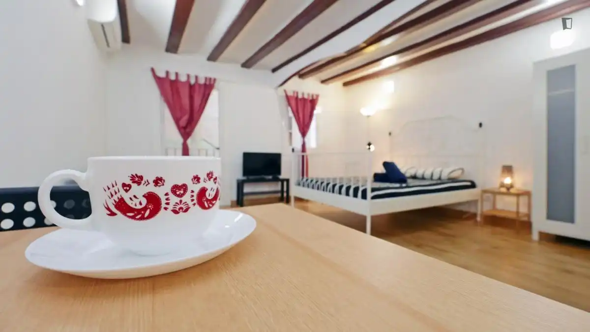 Wohnung zur Miete in El Raval