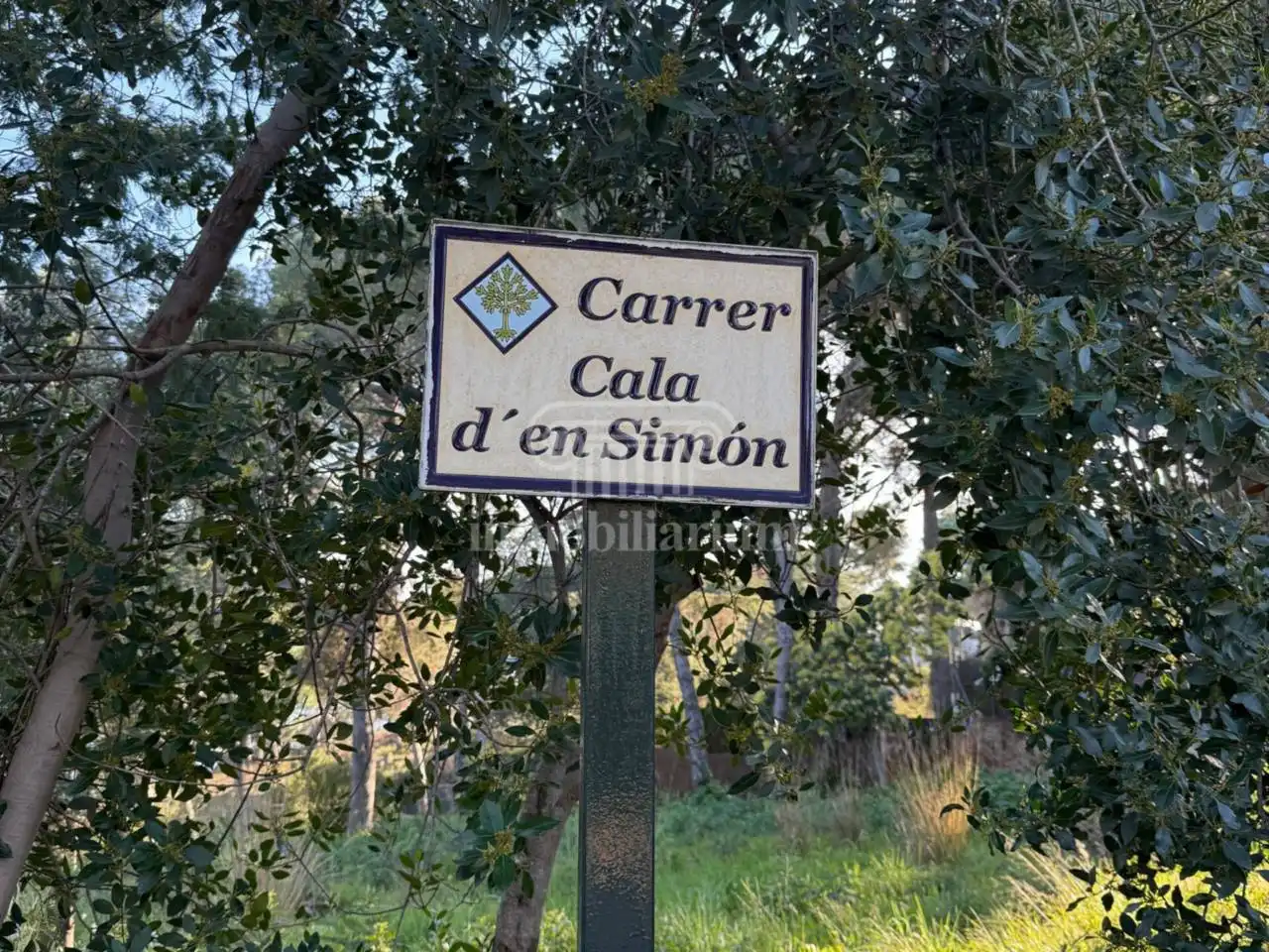 Terreny rústic en venda a Cala d´en Simon, imagen 7