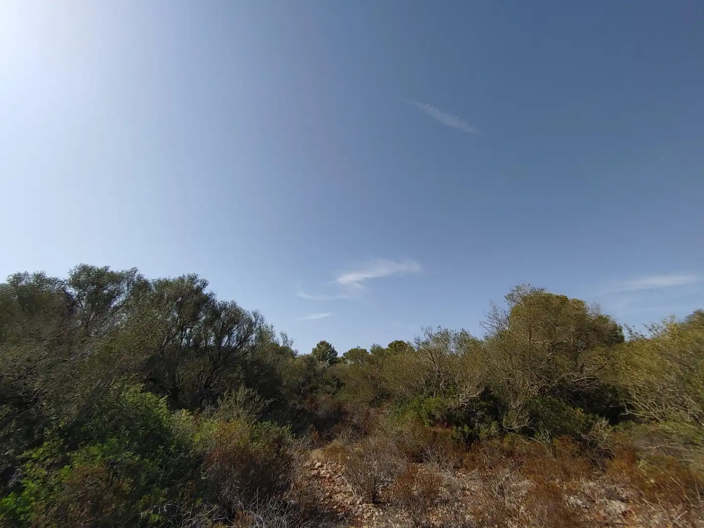 Residencial en venta en Polígono Parcela 12, Cala Pi - Vallgornera