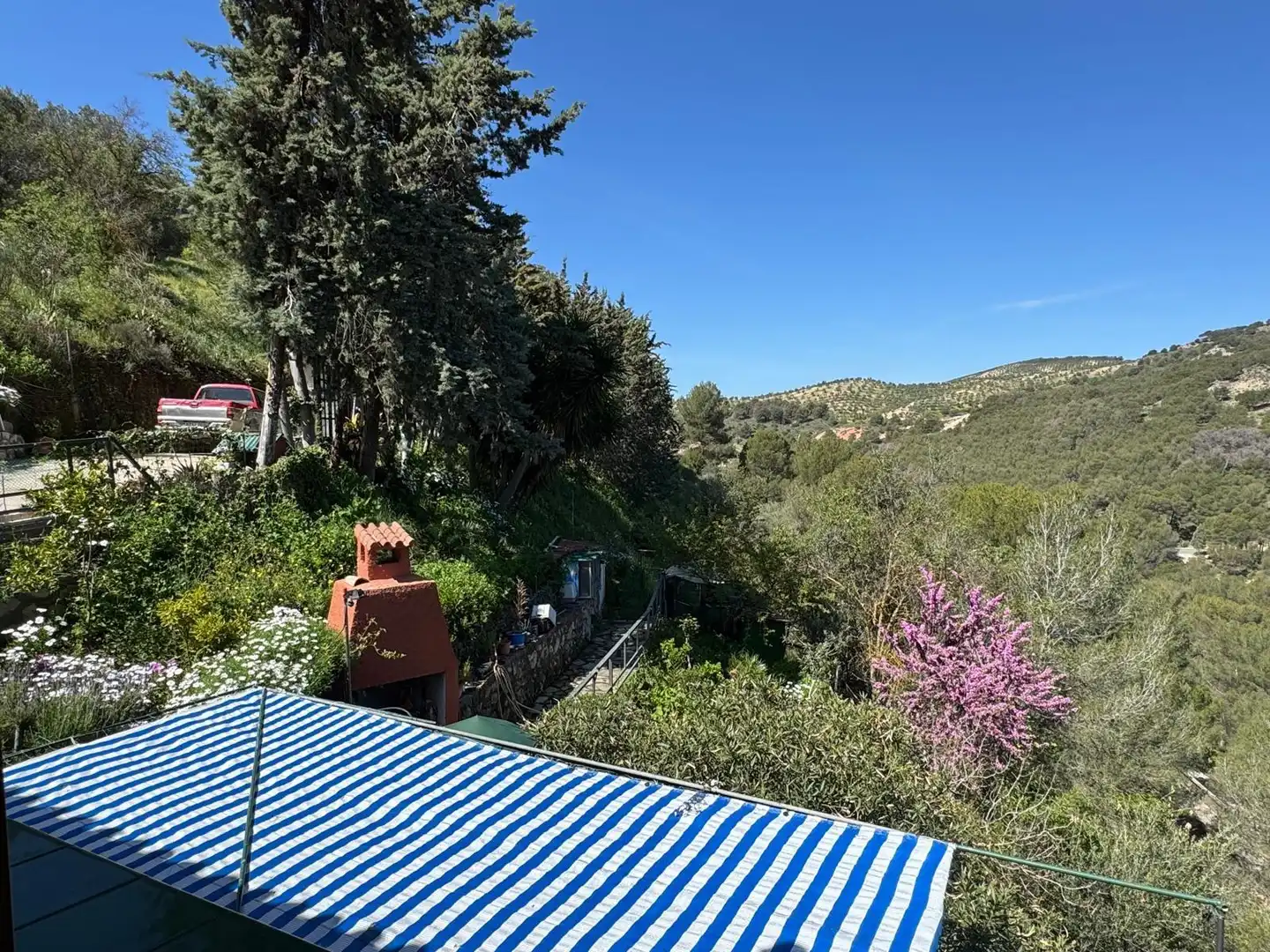Jardín de Casa o chalet en venta en Ardales con Jardín privado y Terraza