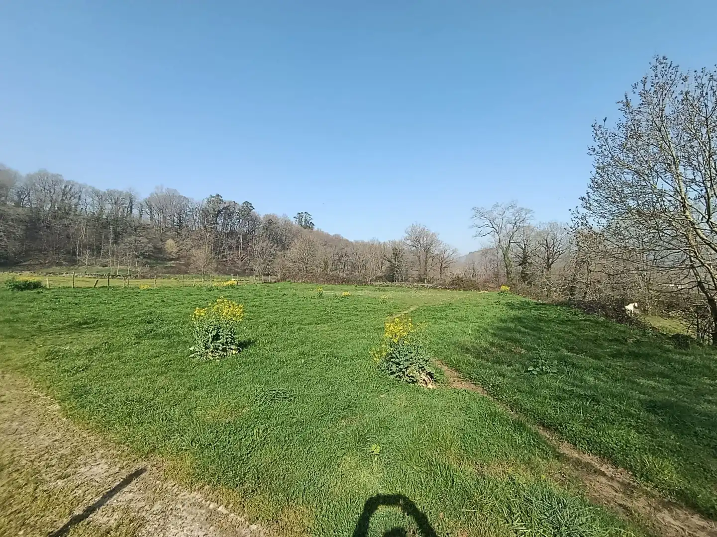Terreni e lotti in vendita a Selaya - LA MIES, imagen 9