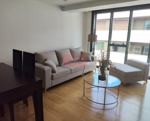 Living room of Duplex to rent in Ourense Capital   with Air Conditioner and Heating