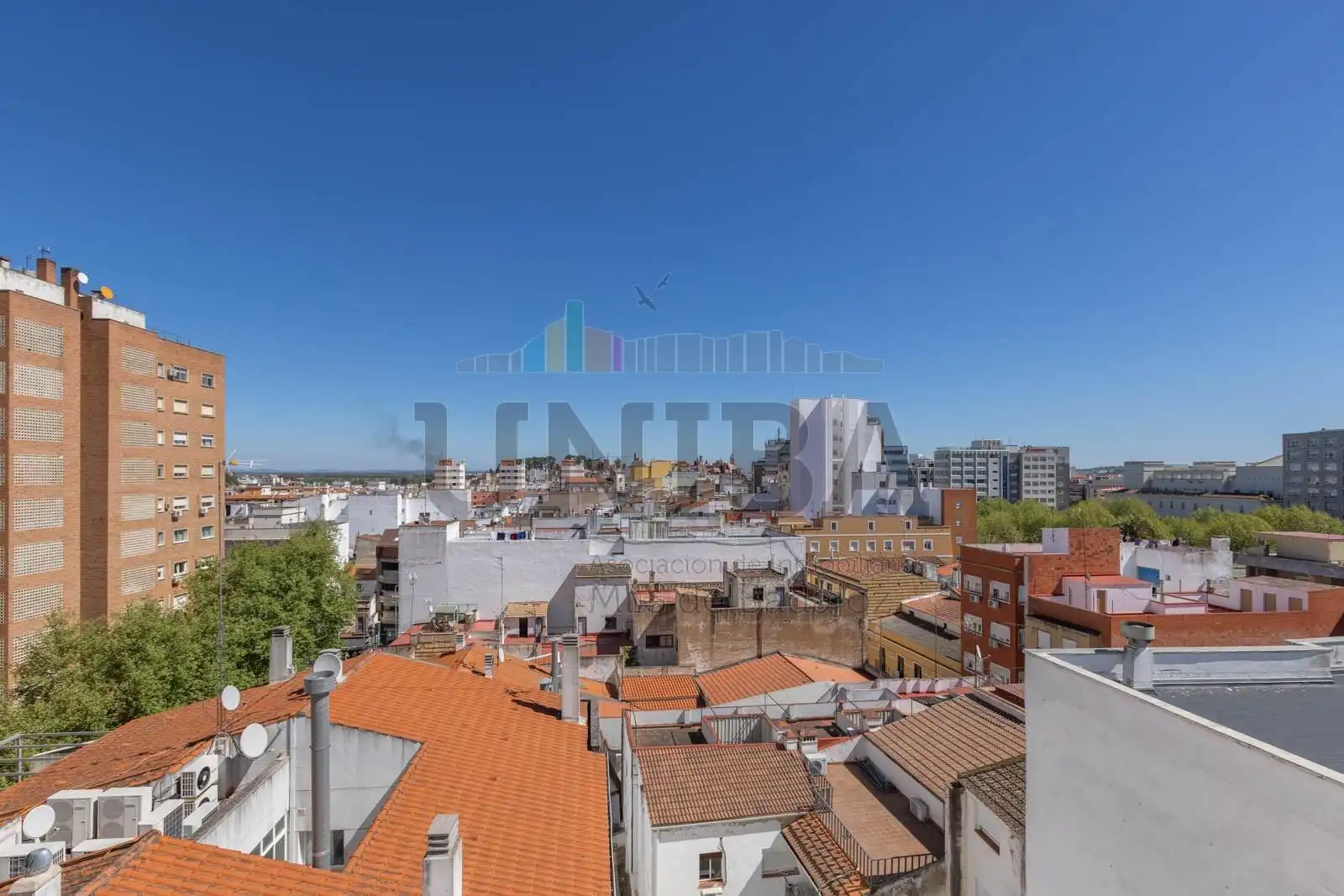 Piso con jardín en venta en Casco Antiguo, imagen 17