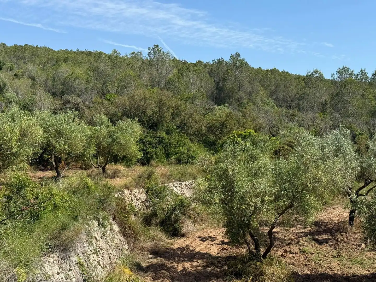 Finca rústica en venda a Vespella de Gaià