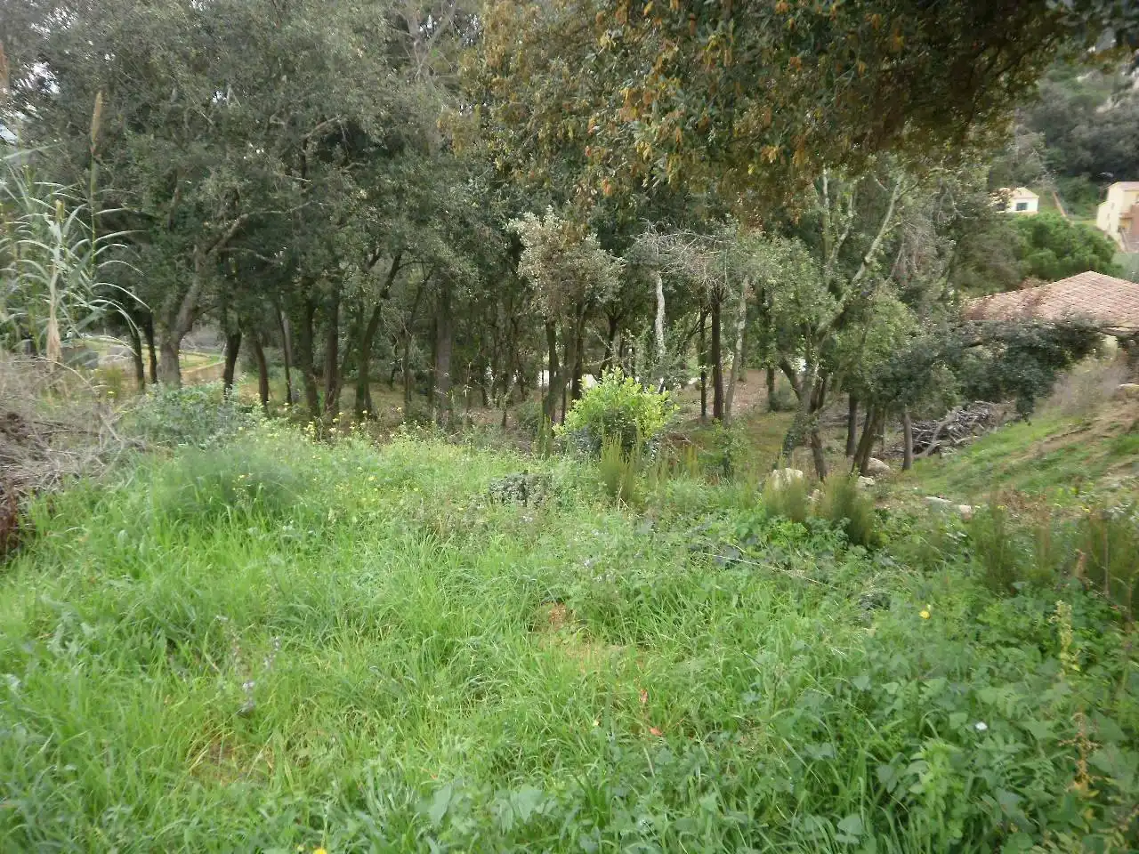 Residential land for sale in Palafolls, imagen 3