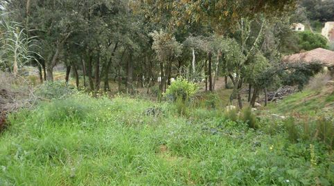 TERRENO en venta, immagine 3