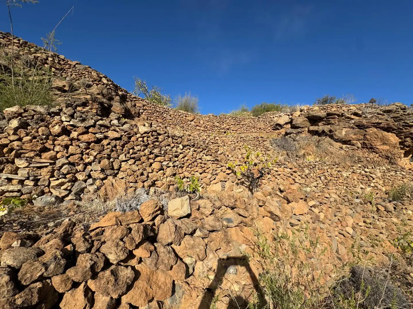 Vista exterior de Finca rústica en venta en Granadilla de Abona
