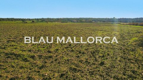 Photo 3 of Country homes for sale in Petra, Illes Balears