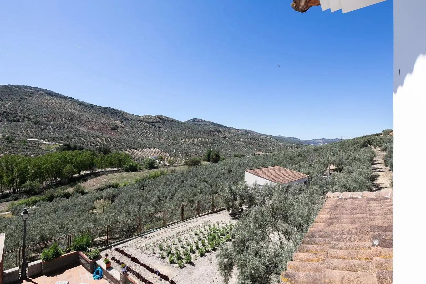 Jardín de Finca rústica en venta en Montefrío con Calefacción, Jardín privado y Terraza