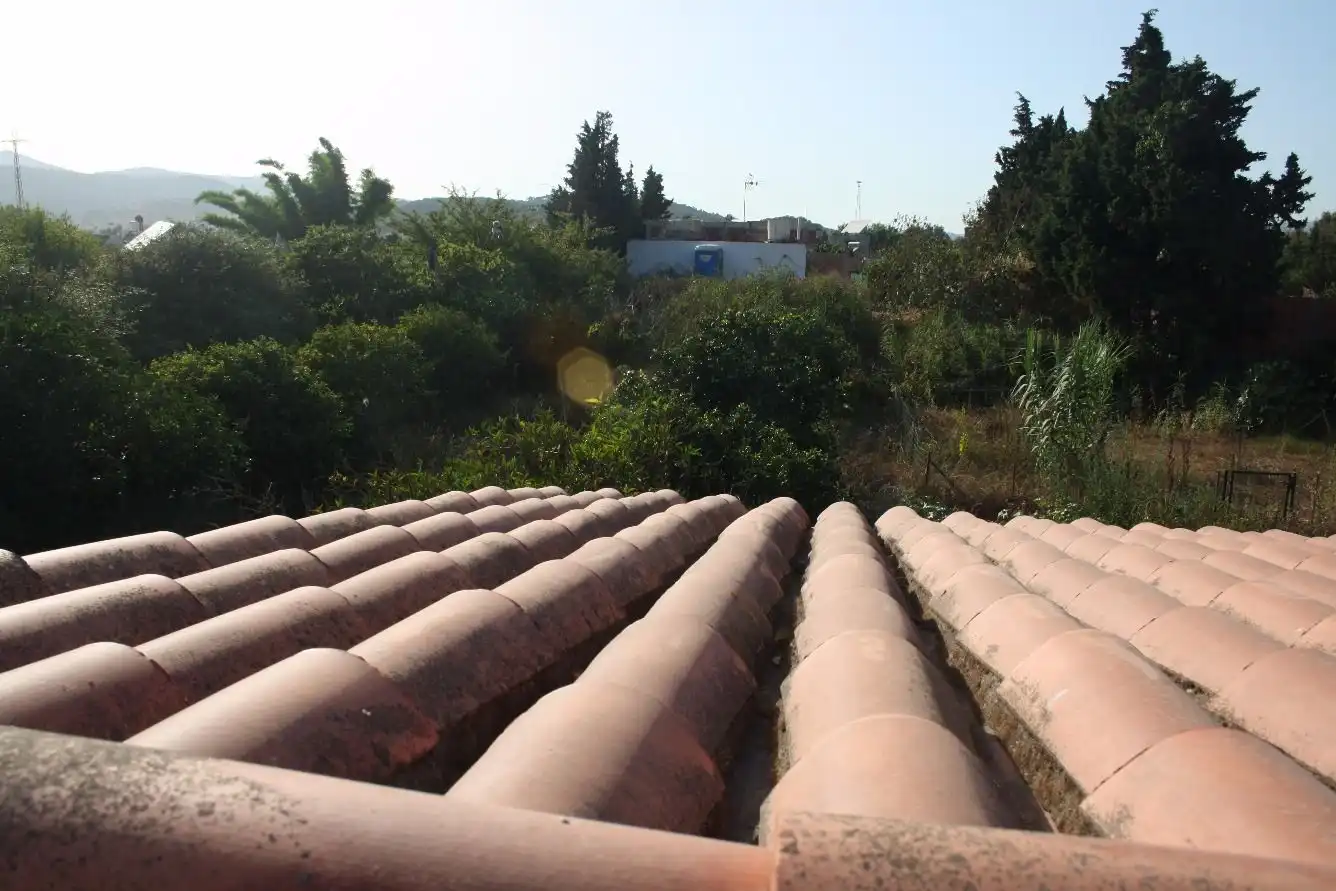 Vista exterior de Casa o chalet en venta en Los Barrios con Calefacción, Jardín privado y Trastero