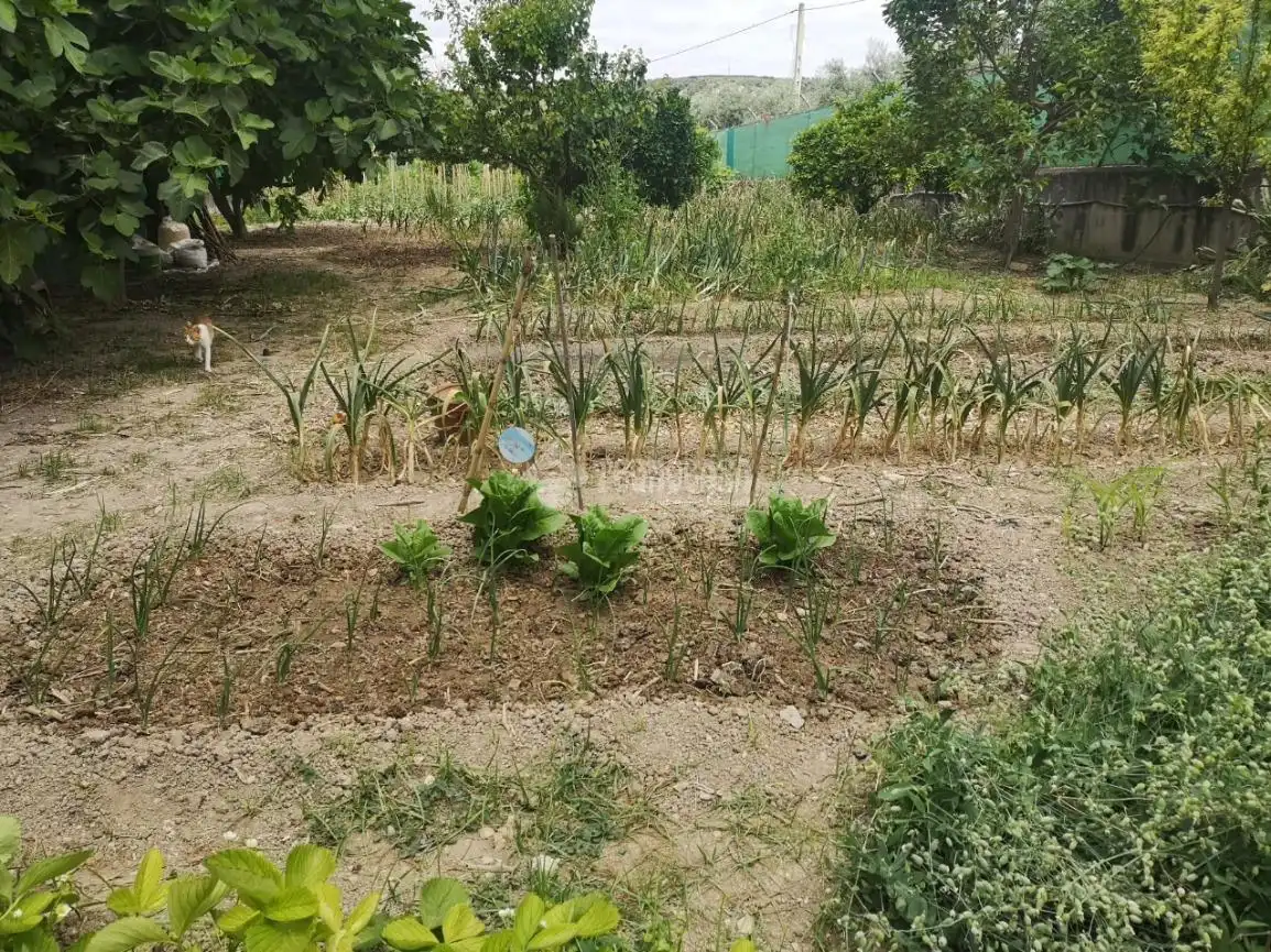 Finca rústica en venda en Lucena amb Jardí privat