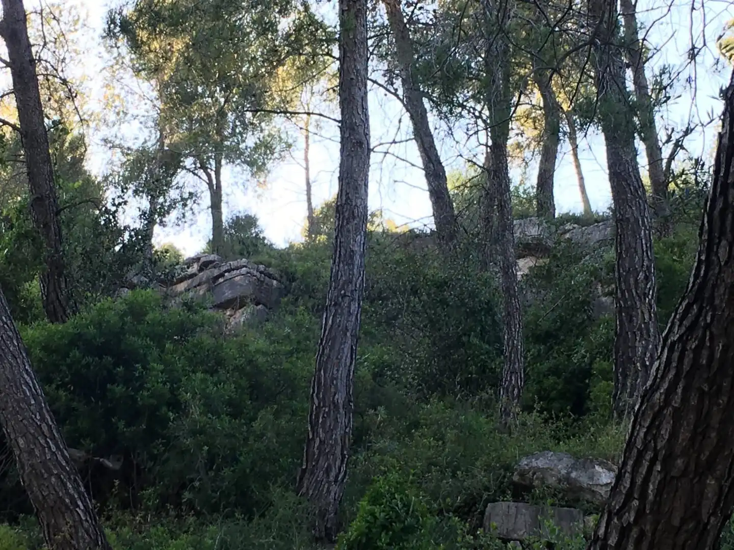 Terreny residencial en venda a Vallirana, imagen 2