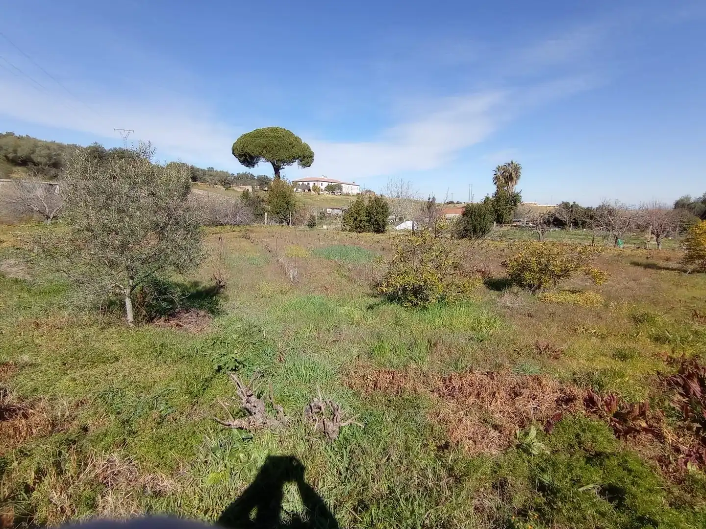 Casa o xalet en venda en Cáceres amb Aire condicionat, Calefacció i Jardí privat