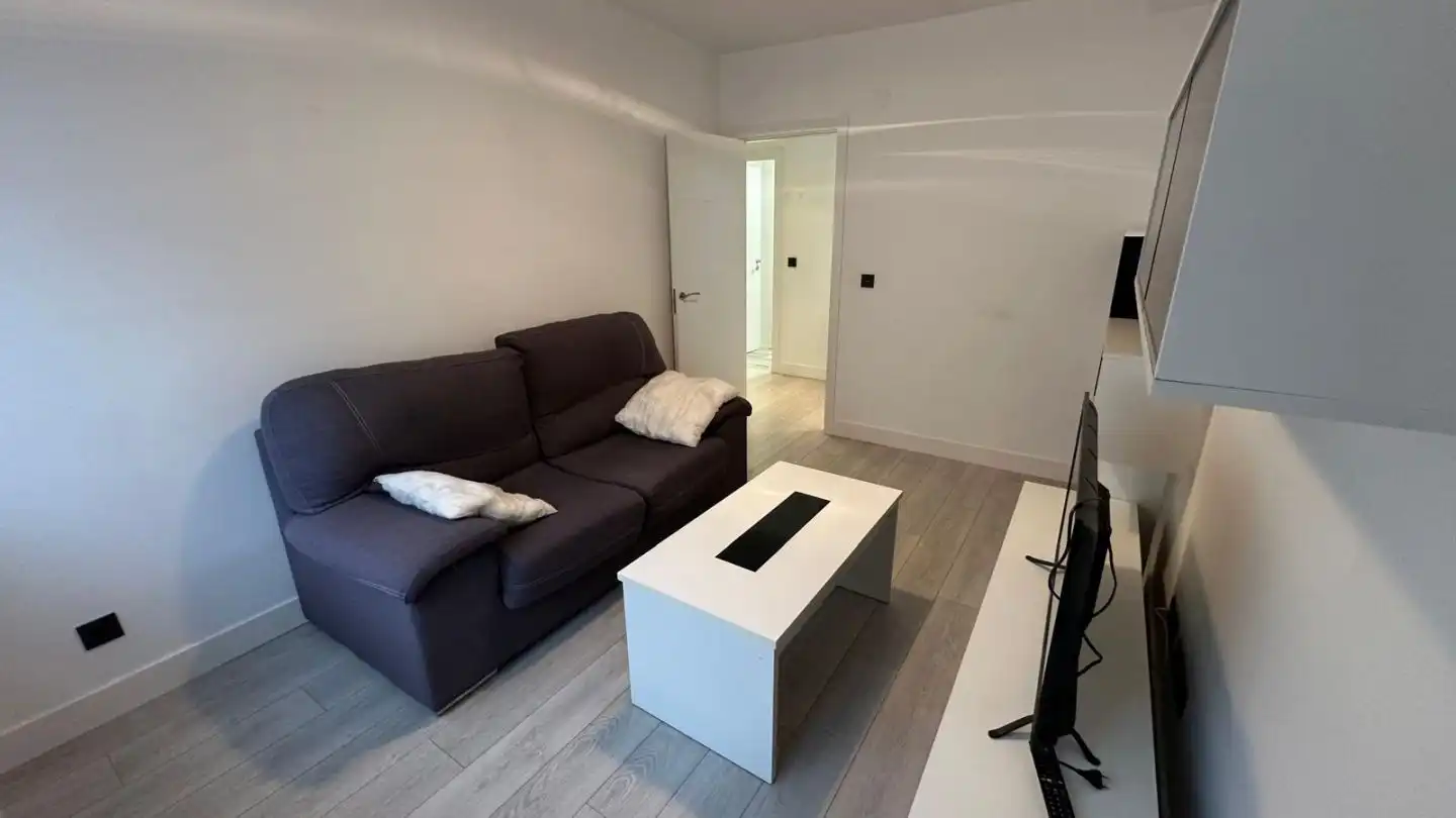 Living room of Flat for sale in Vitoria - Gasteiz  with Heating, Parquet flooring and Furnished