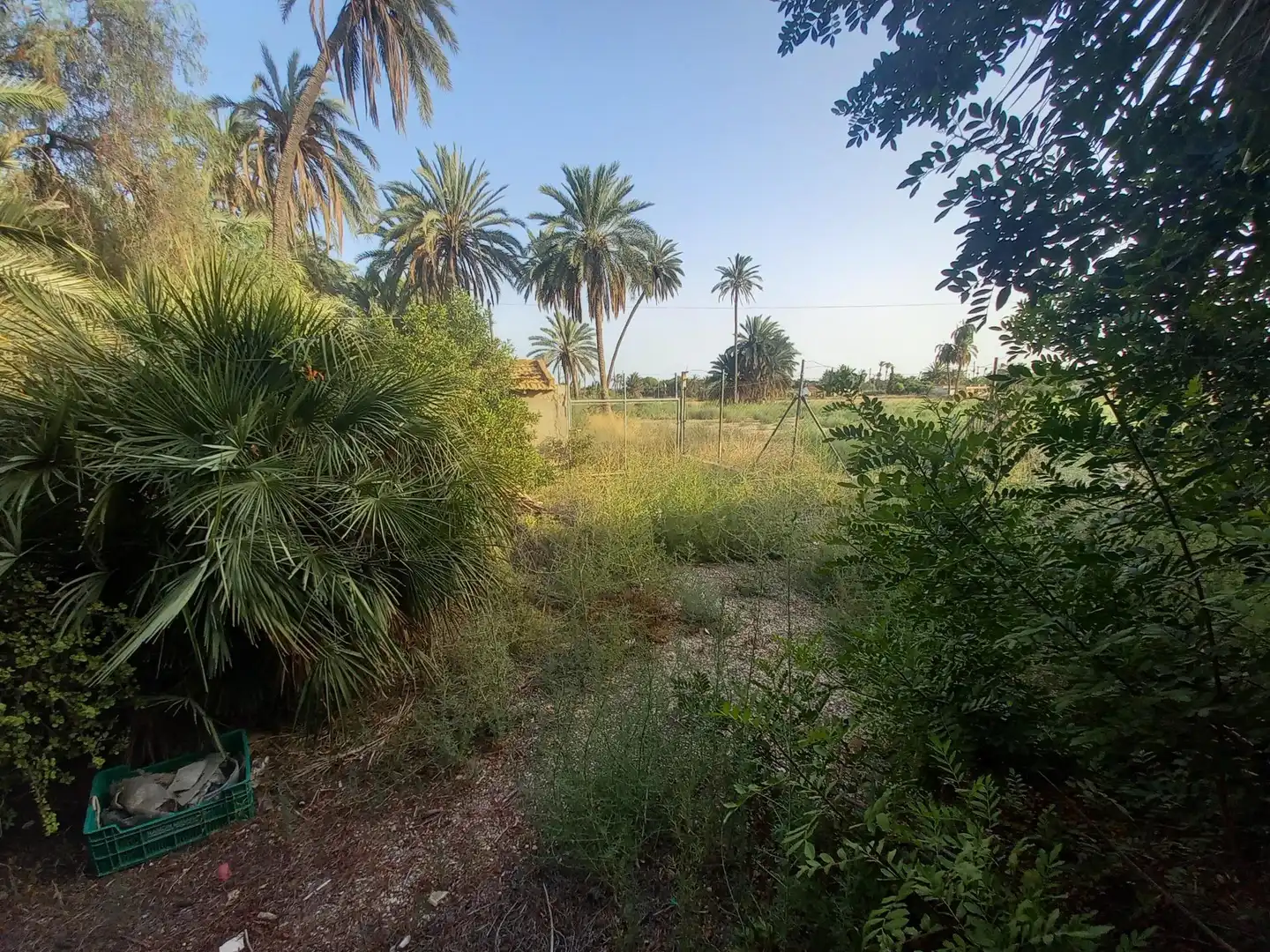 Casa o xalet en venda a La Foia - Daimés - Asprella