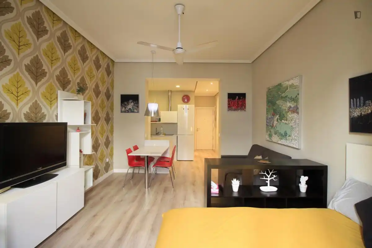 Estudio en alquiler en Centro, imagen 14