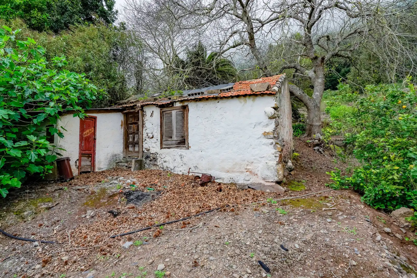 Finca rústica en venda a Calle Calle El Cedro, 52, Hermigua